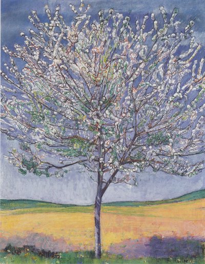 Blooming Cherry Tree by Ferdinand Hodler